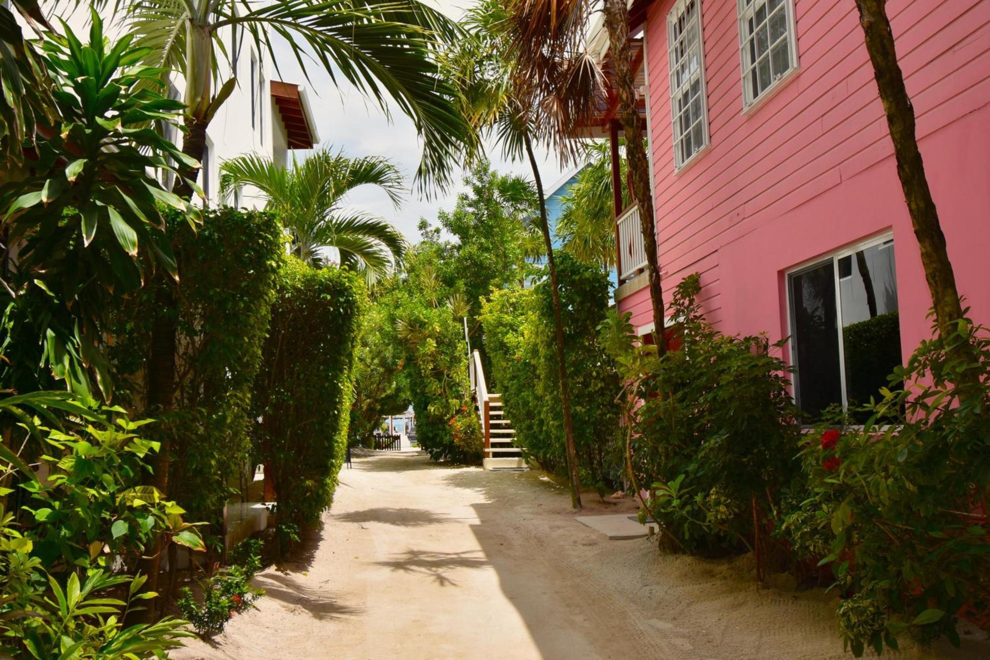 Palmetto Garden Cottage Cayo Caulker Exterior foto